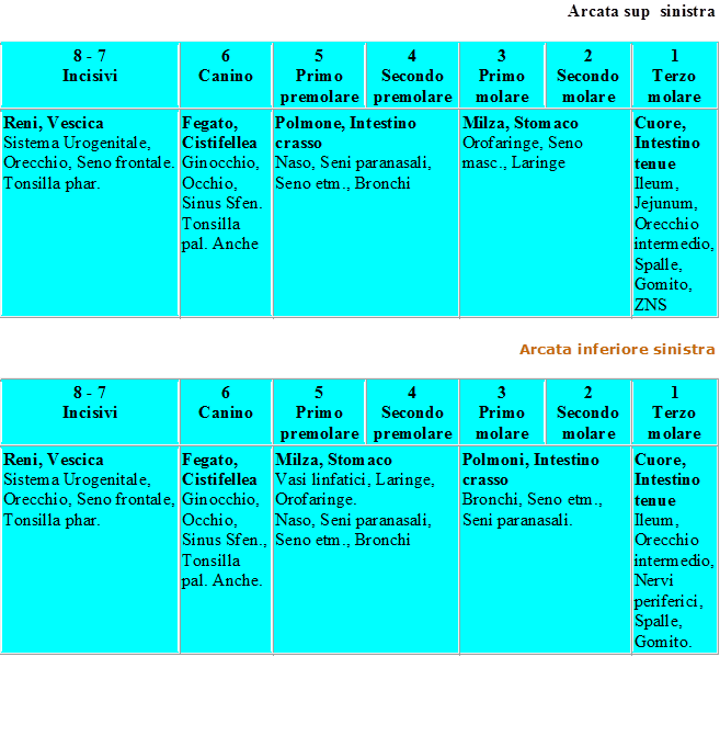 tavoa voll2